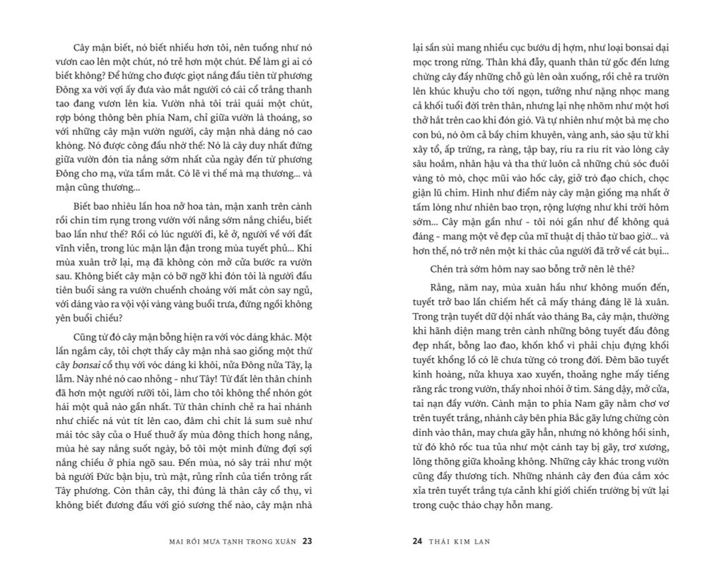 Mai Rồi Mưa Tạnh Trong Xuân