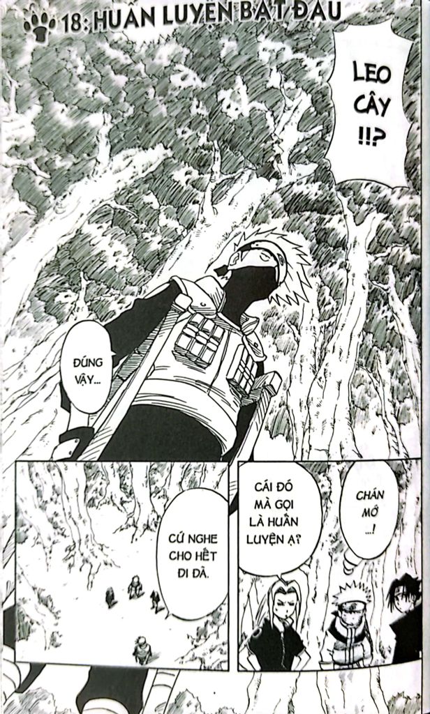 NARUTO T3