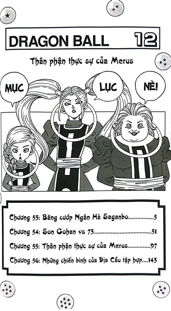 DRAGON BALL SUPER T12