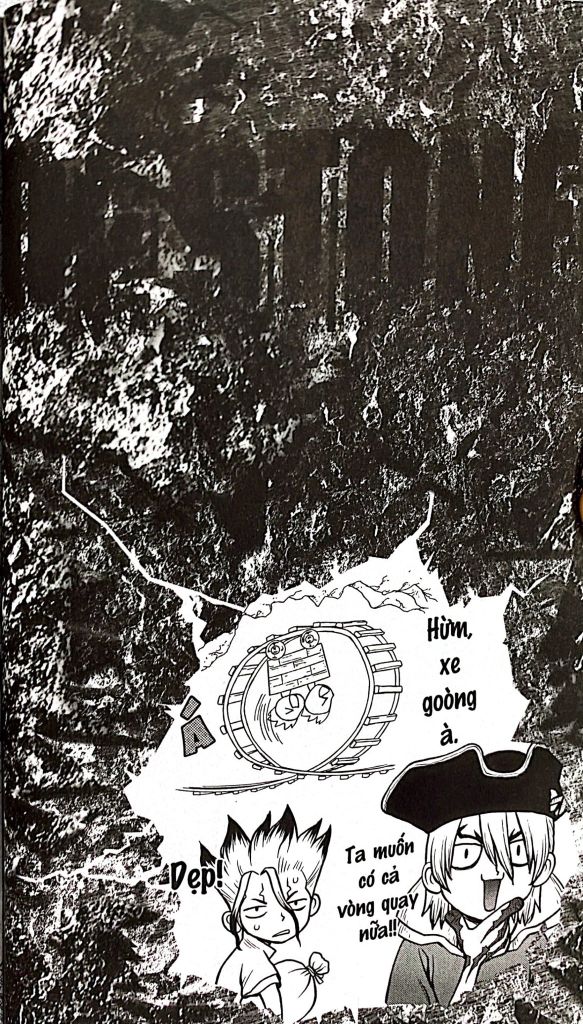 DR STONE-THẾ GIỚI ĐÁ T12