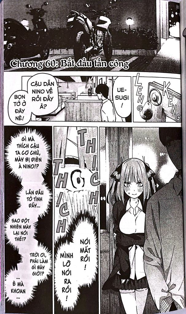 NHÀ CÓ 5 NÀNG DÂU T8