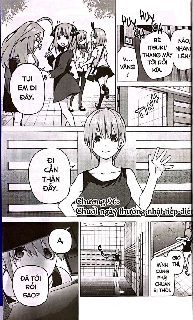 NHÀ CÓ 5 NÀNG DÂU T12