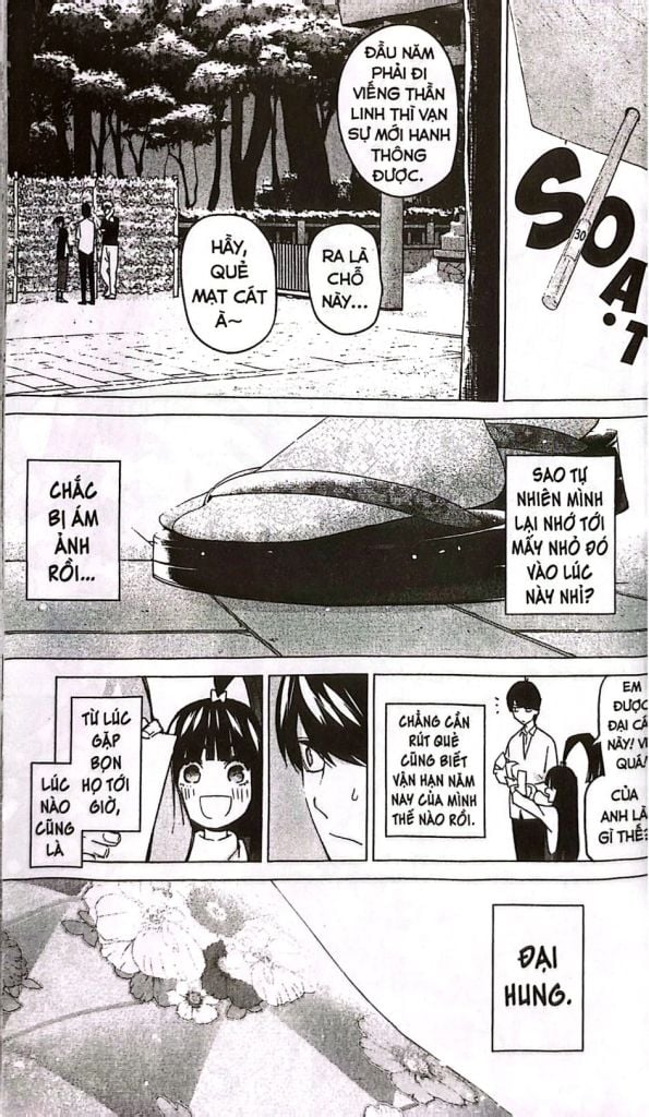 NHÀ CÓ 5 NÀNG DÂU T7