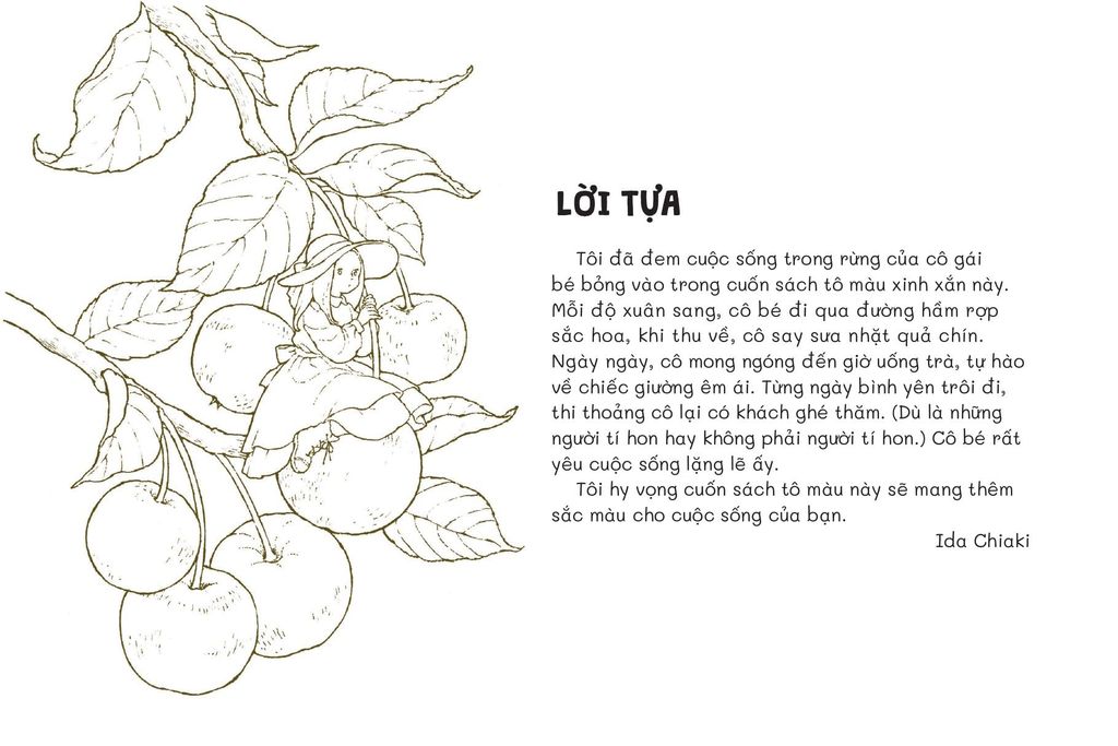 TIỆM POSCARD TRONG KHU RỪNG NHỎ