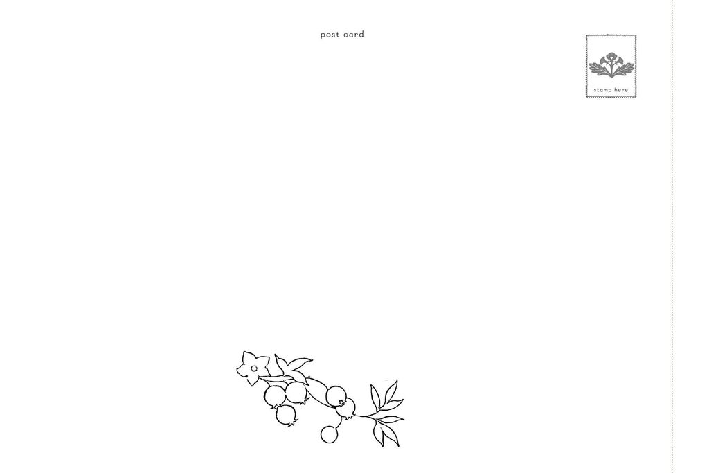 TIỆM POSCARD TRONG KHU RỪNG NHỎ