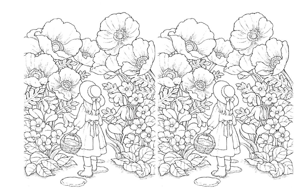 TIỆM POSCARD TRONG KHU RỪNG NHỎ