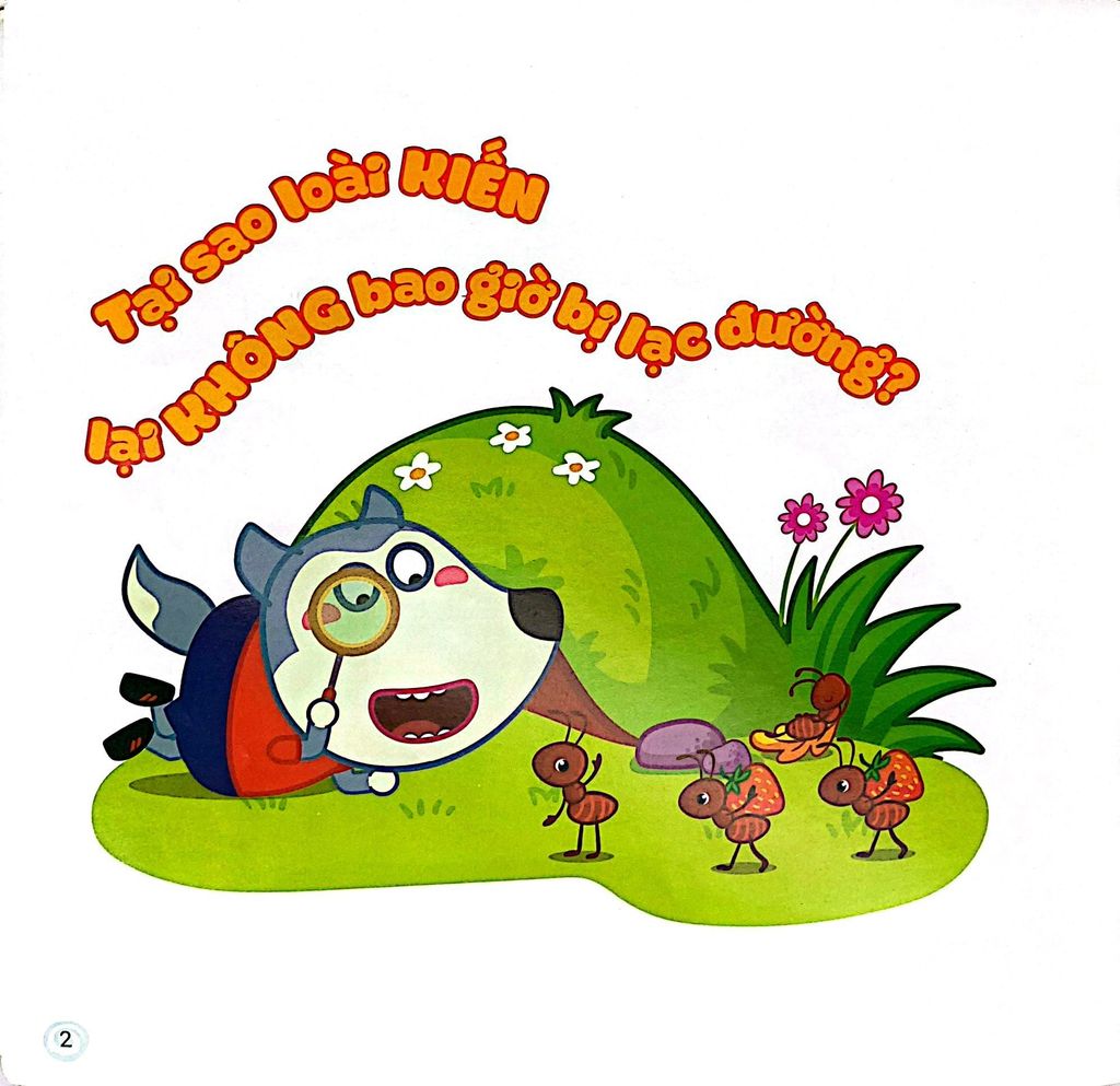 Wolfoo Khoa Học - Wolfoo Hỏi Bé Trả Lời Về Các Loài Côn Trùng