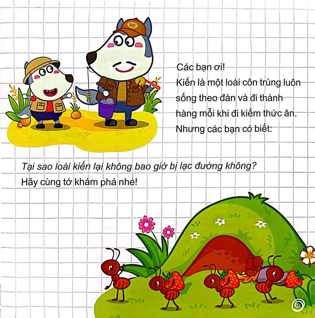 Wolfoo Khoa Học - Wolfoo Hỏi Bé Trả Lời Về Các Loài Côn Trùng