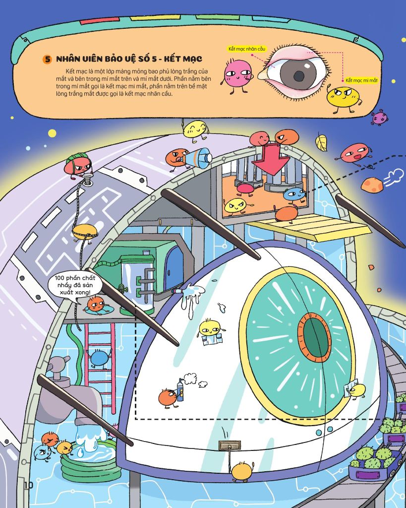 BÍ MẬT ĐÔI MẮT-THÁM HIỂM HÀNH TINH MẮT