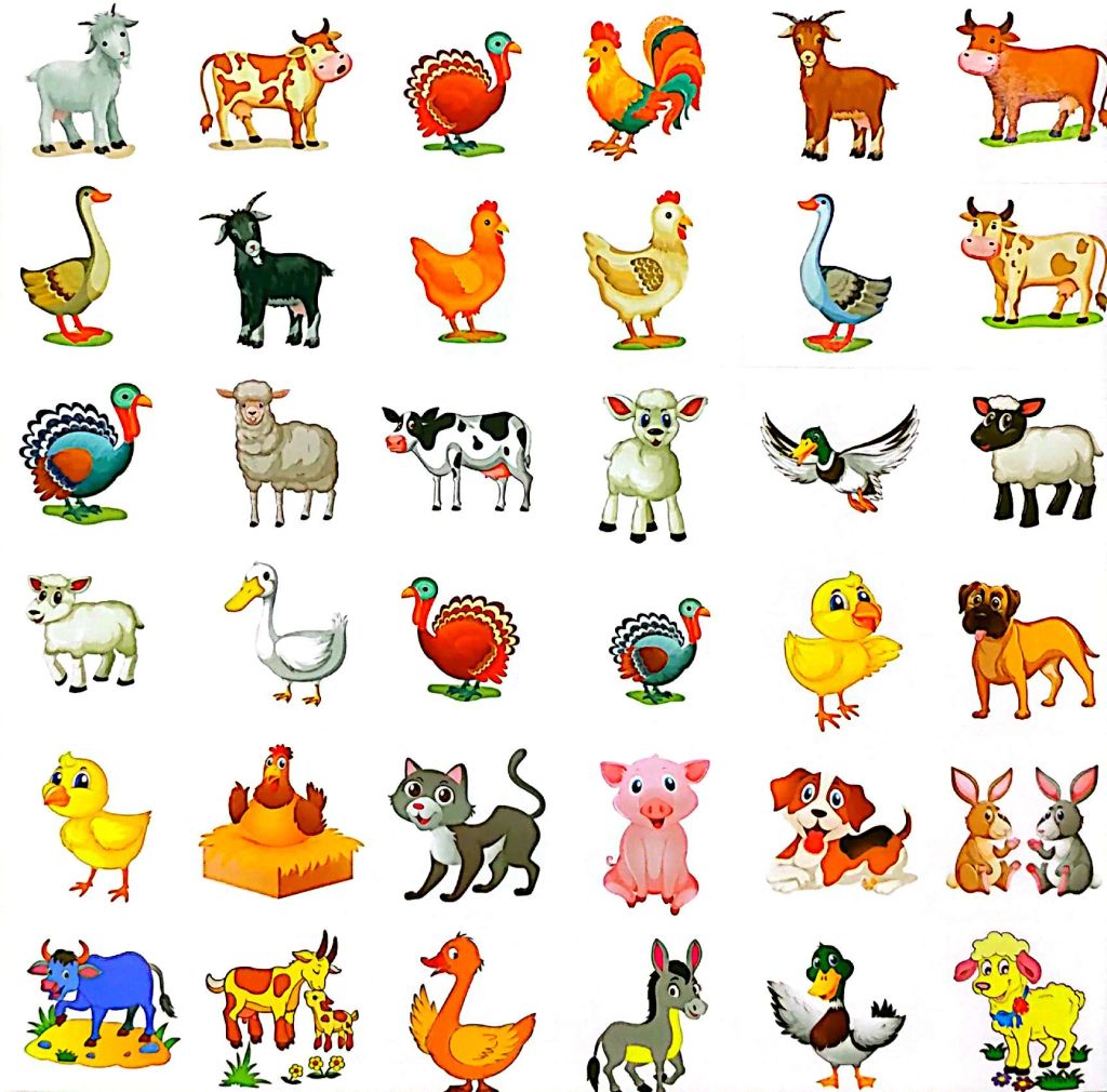 BÉ TÔ MÀU SÁNG TẠO - ĐỘNG VẬT NUÔI