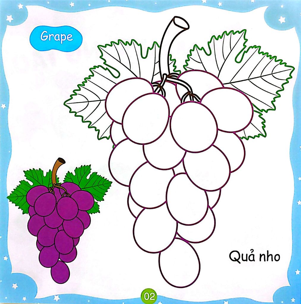 BÉ TÔ MÀU SÁNG TẠO - TRÁI CÂY