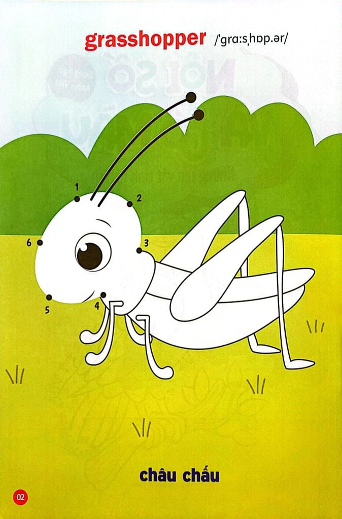 NỐI SỐ VÀ TÔ MÀU  - NHỮNG CON VẬT TINH NGHỊCH