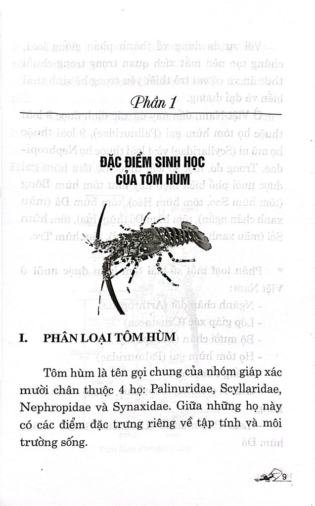 KỸ THUẬT NUÔI TÔM HÙM