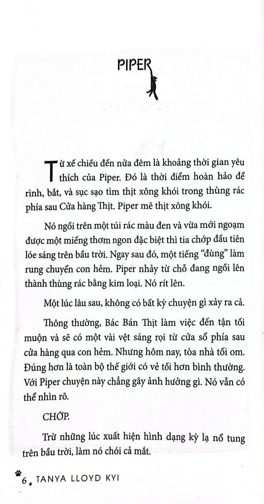 THÀNH PHỐ CỦA NHỮNG CHÚ MÈO LẠC