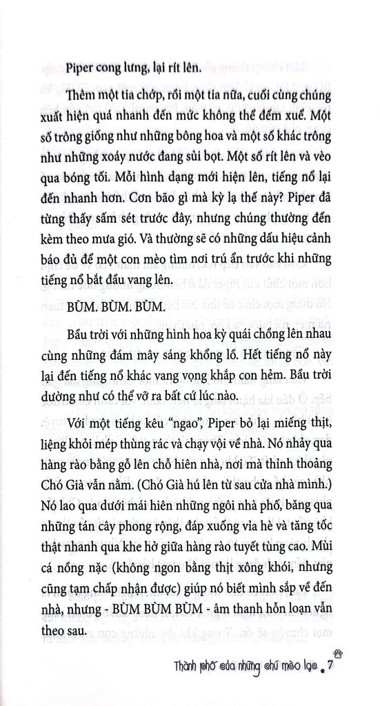 THÀNH PHỐ CỦA NHỮNG CHÚ MÈO LẠC