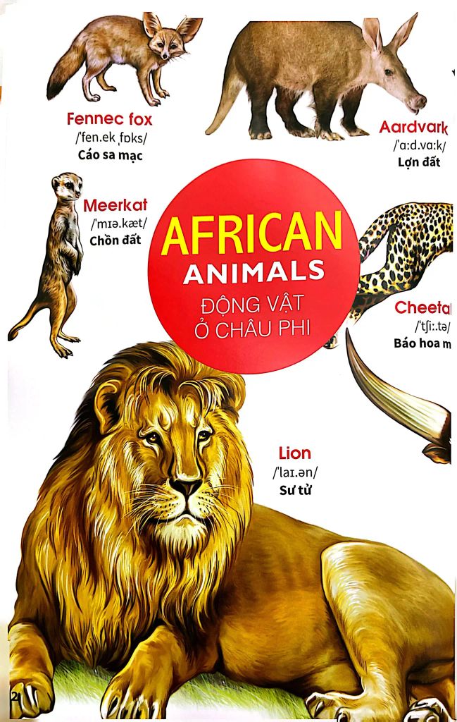 My First Book Of Animals - Thế Giới Động Vật