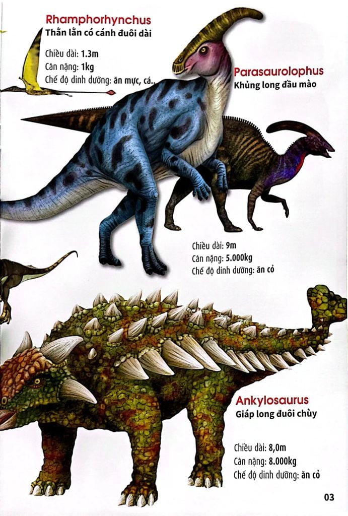 My First Book Of Animals - Động Vật Thời Tiền Sử