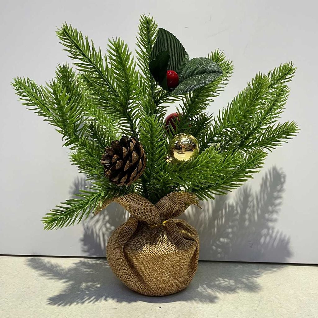 Chậu Thông Mini Để Bàn DC59-2018E