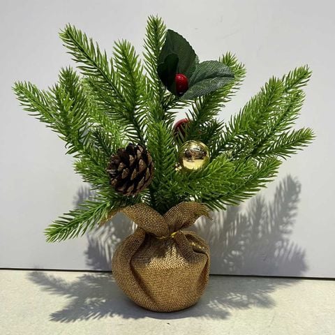 Chậu Thông Mini Để Bàn DC59-2018E