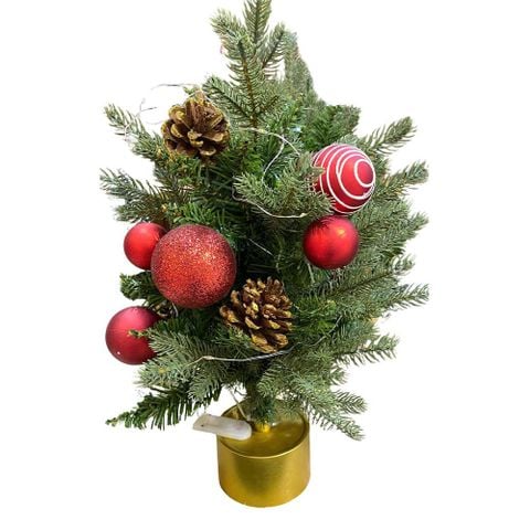 Chậu Thông Trang Trí 45CM SSL2108-45