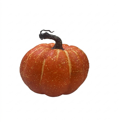 Quả Bí 17Cm Cao 170