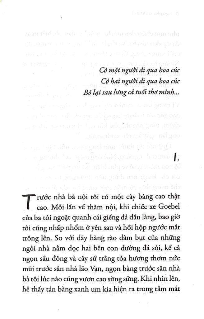Đi Qua Hoa Cúc (Tái bản năm 2022)