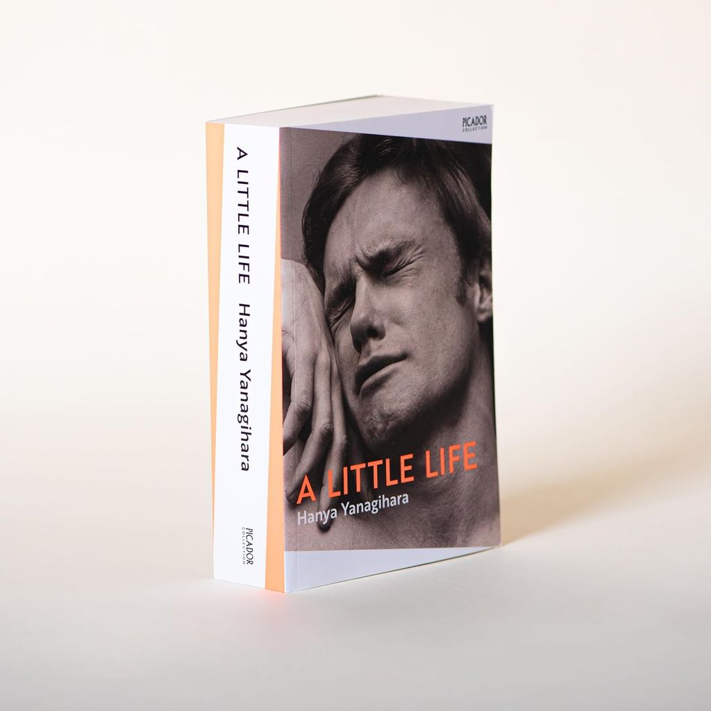 A Little Life_ Pan 1224