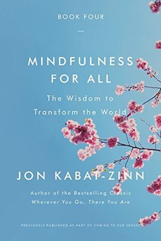 Mindfulness For All: The Wisdom To Transform The World