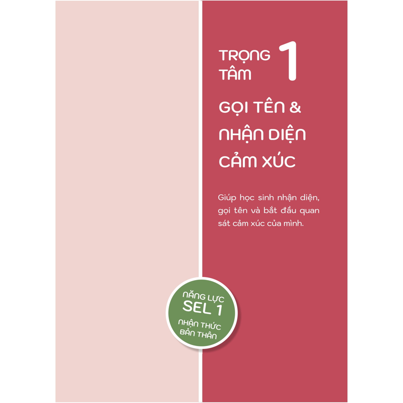 50+ Hoạt Động Phát Triển Năng Lực Cảm Xúc - Xã Hội