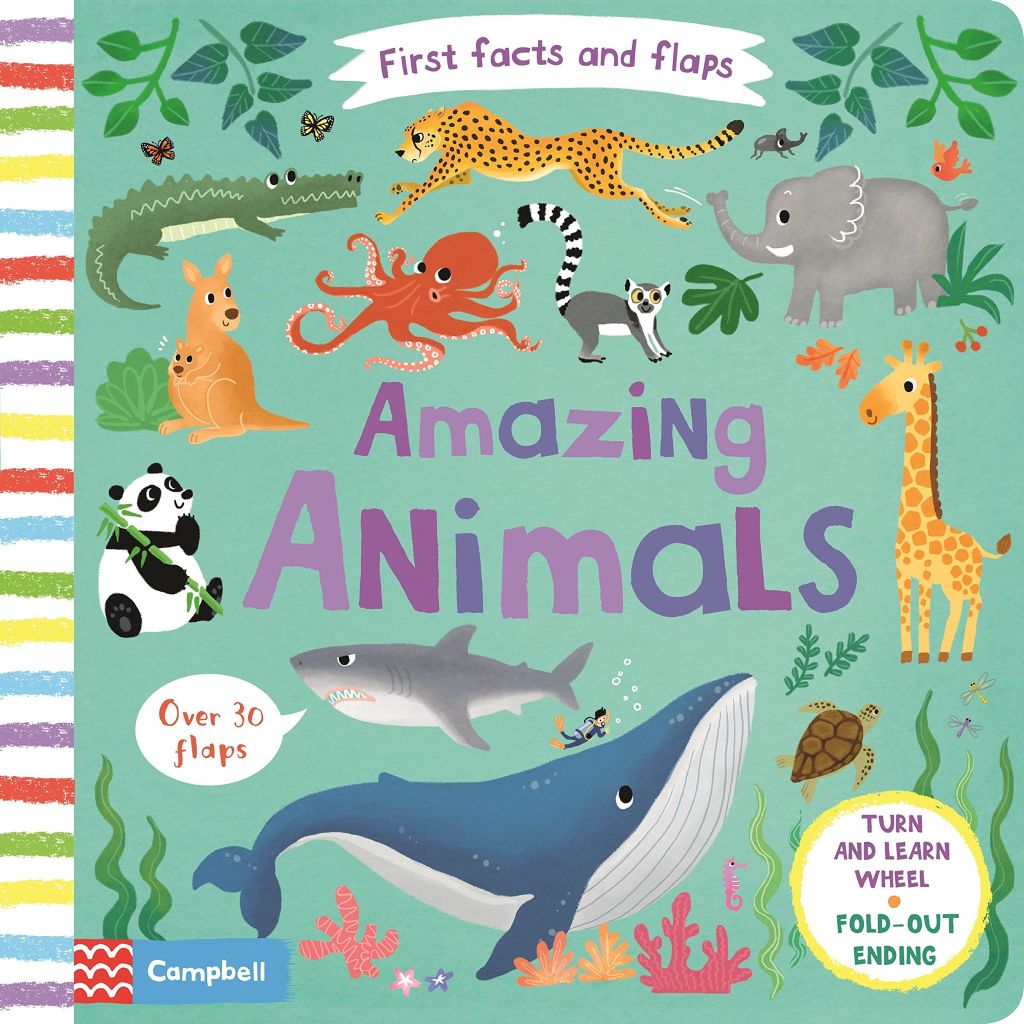 First Facts and Flaps: Amazing Animals