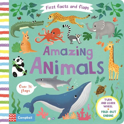 First Facts and Flaps: Amazing Animals