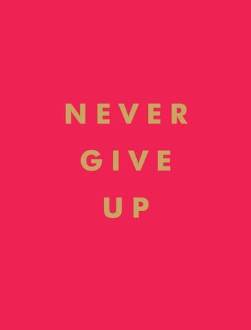Never Give Up