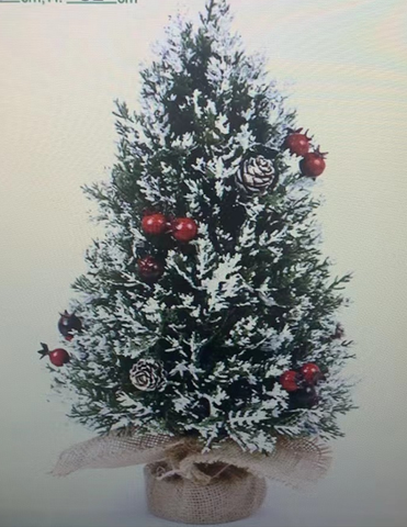 Chậu Thông Để Bàn 32Cm 114Xs336 (Thck0462)