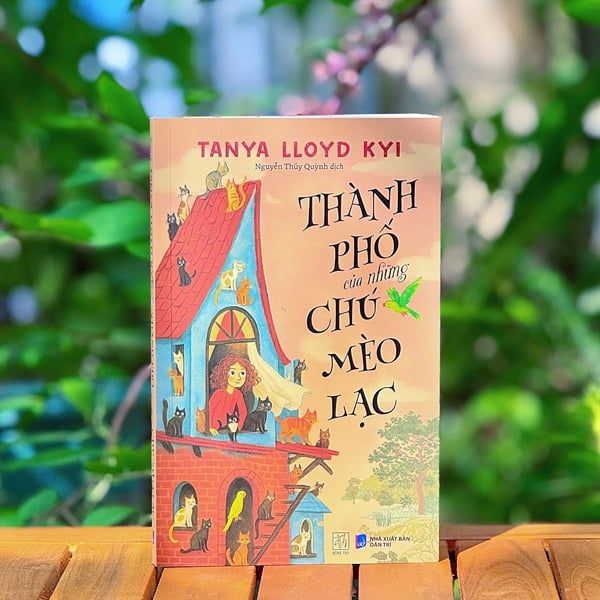 THÀNH PHỐ CỦA NHỮNG CHÚ MÈO LẠC