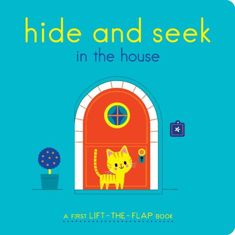 Hide and Seek in the House : A First Lift-The-Flap Book