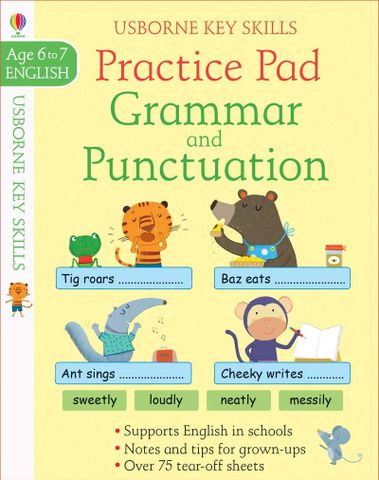 Practice Pad: Grammar And Punctuation 6-7
