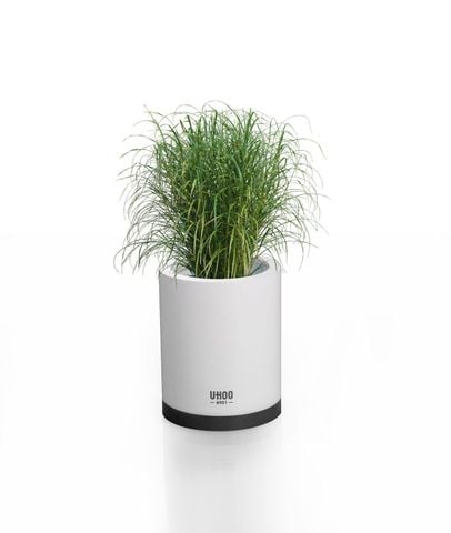 Cắm Bút Nhựa Tròn Uhoo 6901