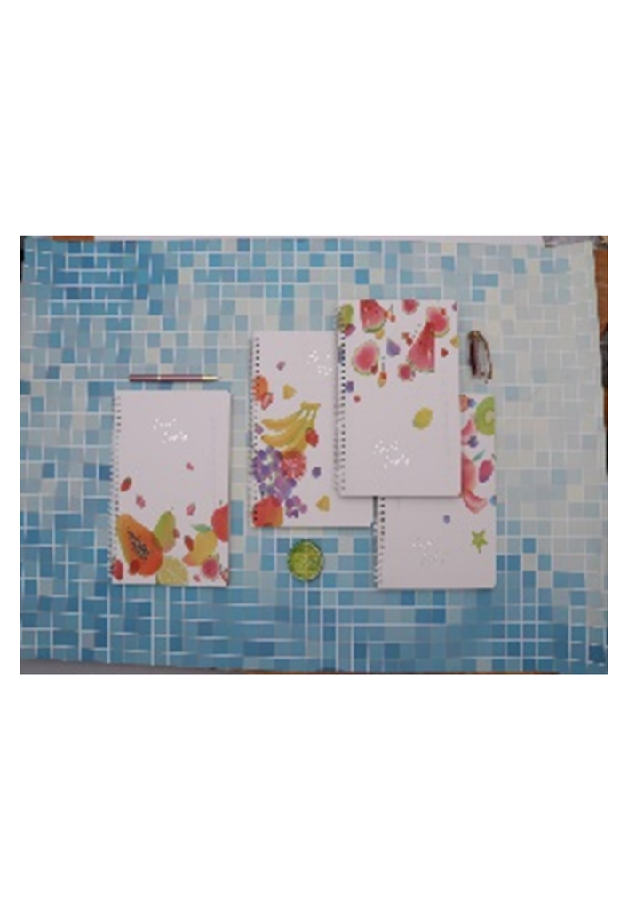 Sổ lò xo XQSB B5 65-6918