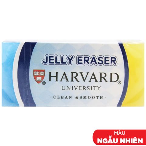 GÔM HARVARD 3738 H/24 (THNK071)