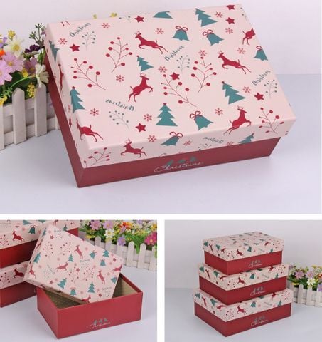 Hộp Quà Chữ Nhật Nhỏ Hl-9700-65 (Thck0462)