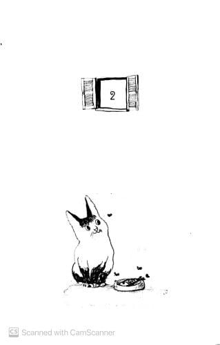 Có Hai Con Mèo Ngồi Bên Cửa Sổ (Tái bản năm 2023)