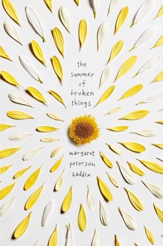 The Summer Of Broken Things