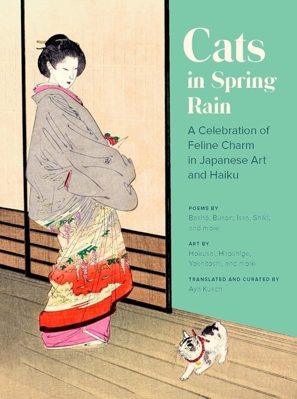 Cats In Spring Rain