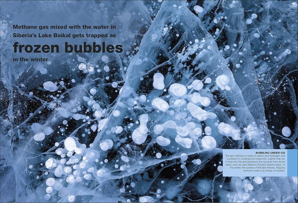 POCKET EYEWITNESS PERIODIC TABLE_DK 1125