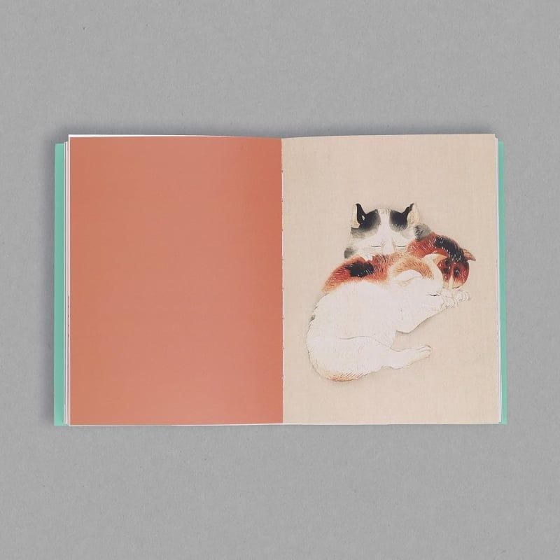 Cats In Spring Rain