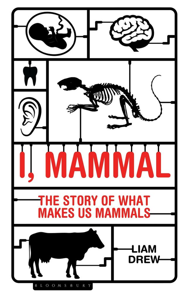 I, Mammal: The Story Of What Makes Us Mammals
