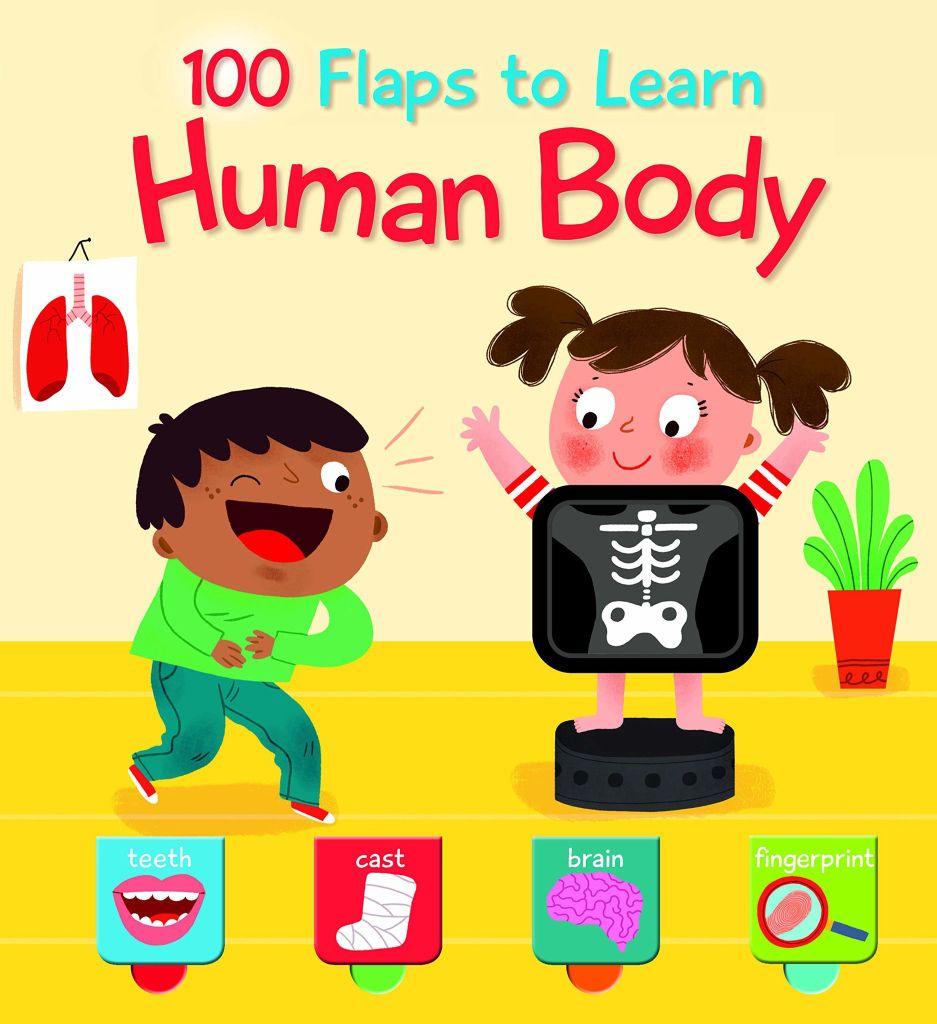 100 Flaps To Learn: Human Body