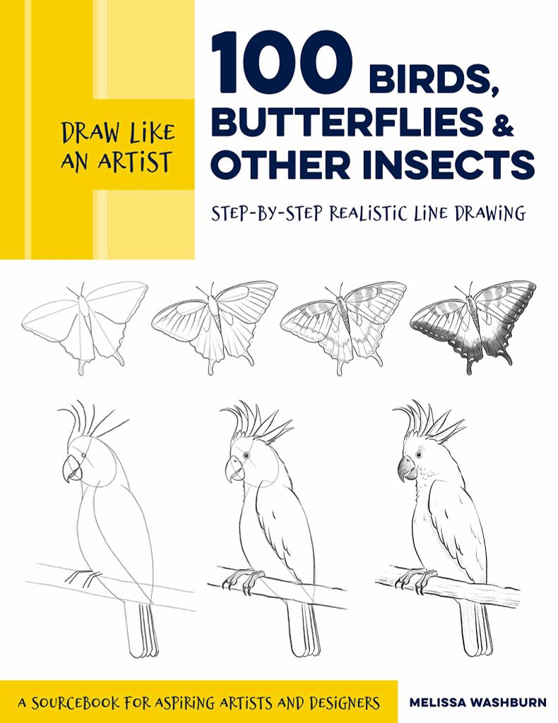 Draw Like An Artist: 100 Birds, Butterflies, And Other Insects