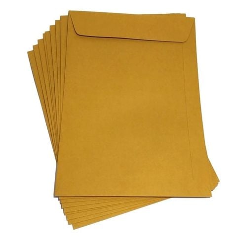 BAO HỒ SƠ VÀNG CÓ KEO 17.8X25.4 CM (10 CÁI/LỐC) 5201N (0013-ĐĐ)