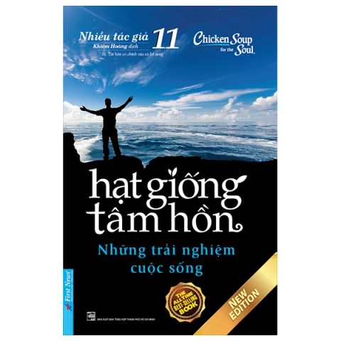 HẠT GIỐNG TÂM HỒN 11-NHỮNG TRẢI NGHIỆM CUỘC SỐNG